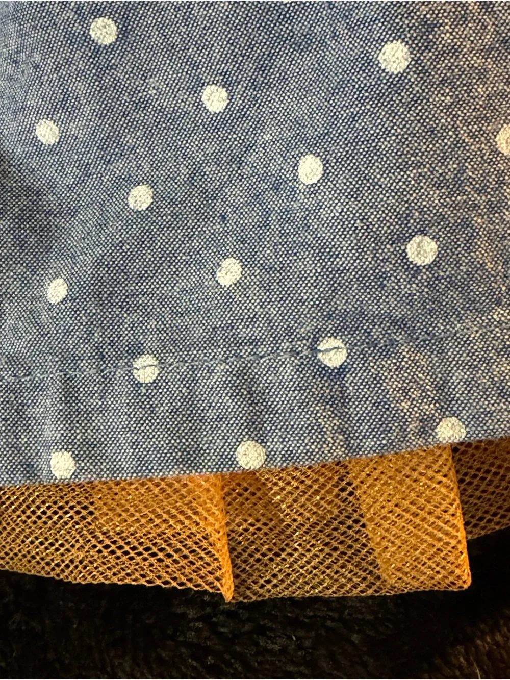 Gymboree playful blue